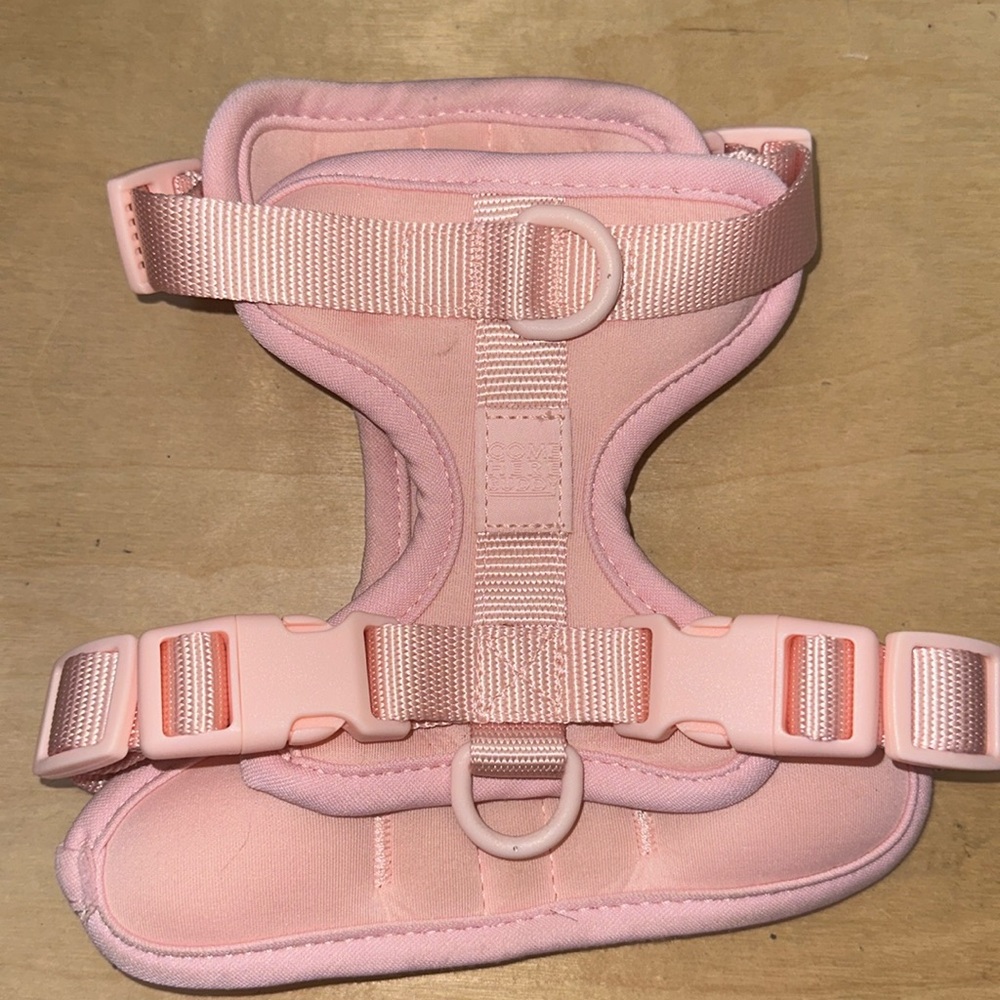Come Here Buddy Pet Harness- XS